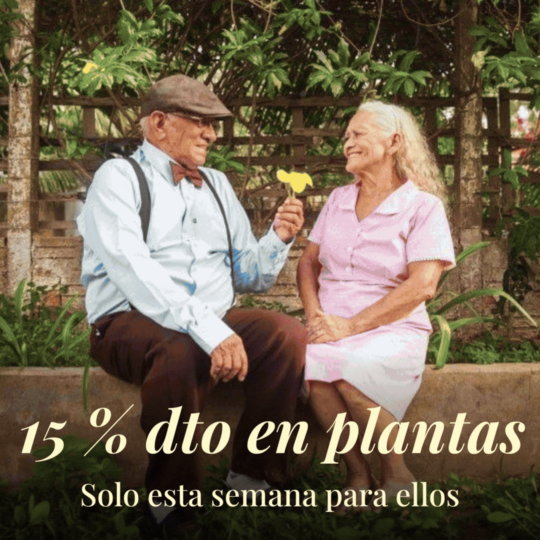 Amores bonitos