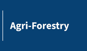 Agri-Forestry