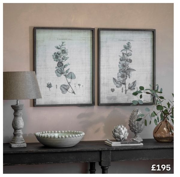 Shop Ashmore Set of 2 Lavatera Framed Prints