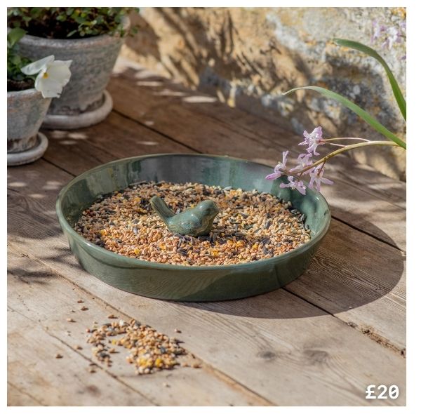 Shop Lulworth Bird Feeder