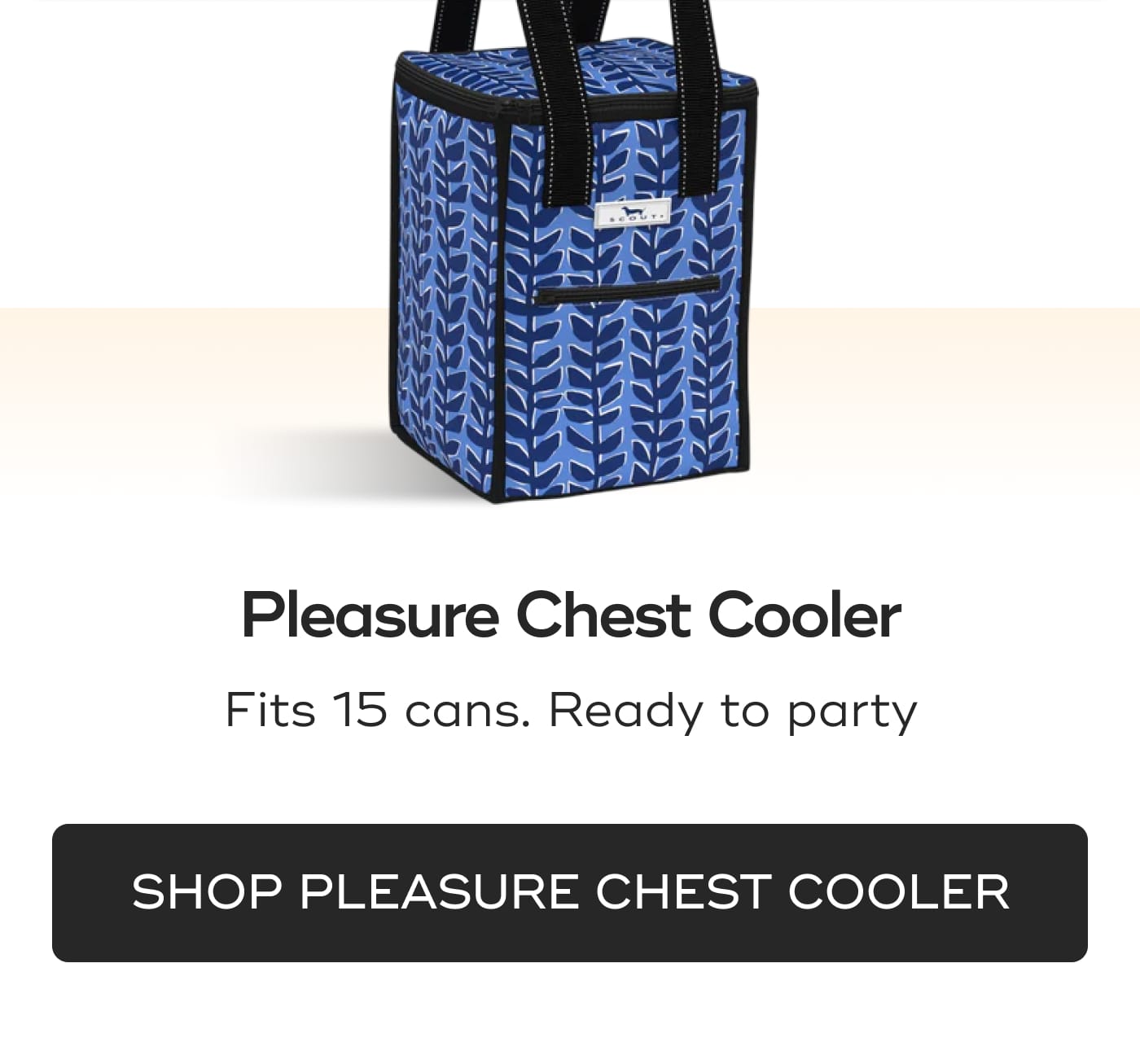 Pleasure Chest Cooler. Fits 15 cans. Ready to party. SHOP PLEASURE CHEST COOLER