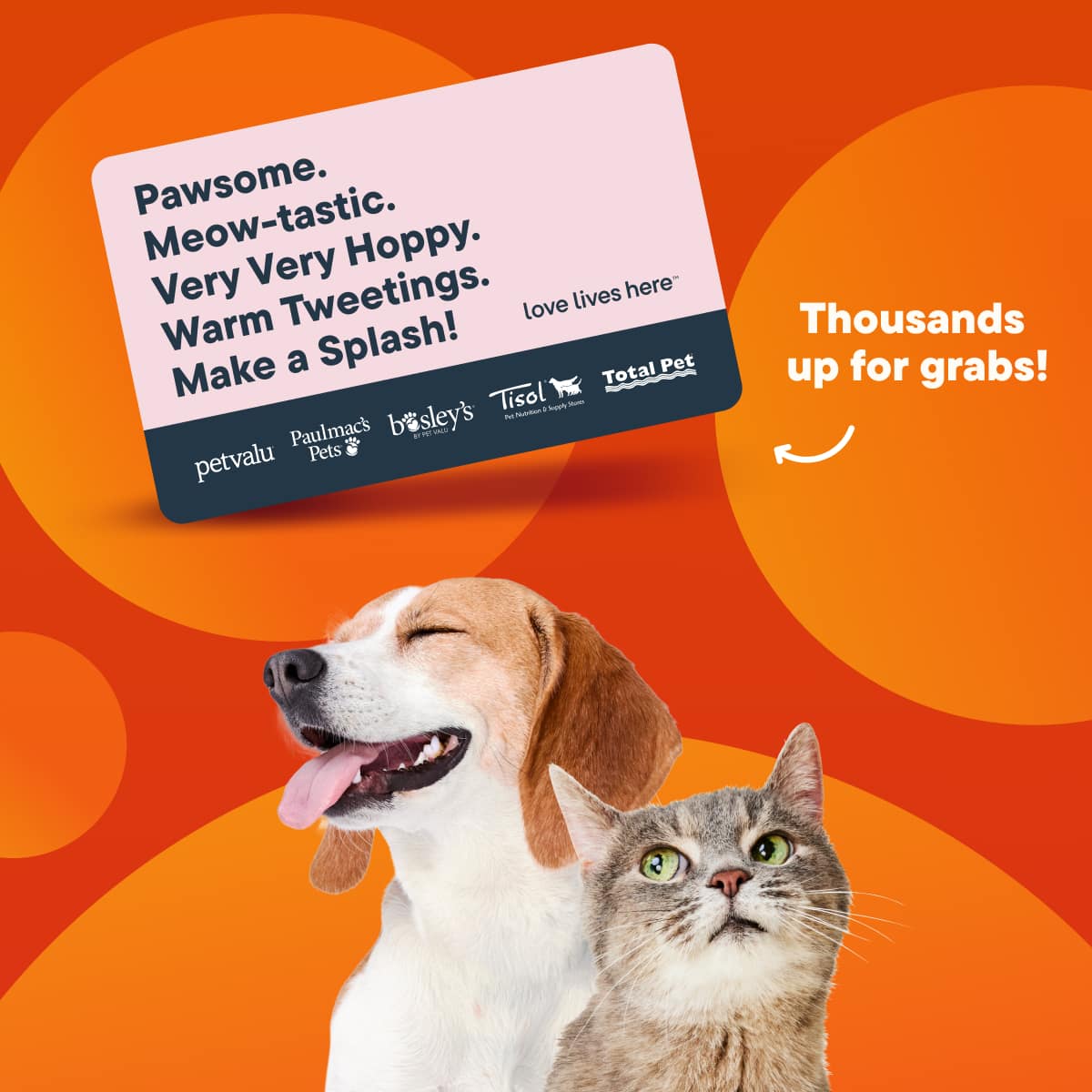 Pet Valu Gift Card & Image of a Dog and a Cat
