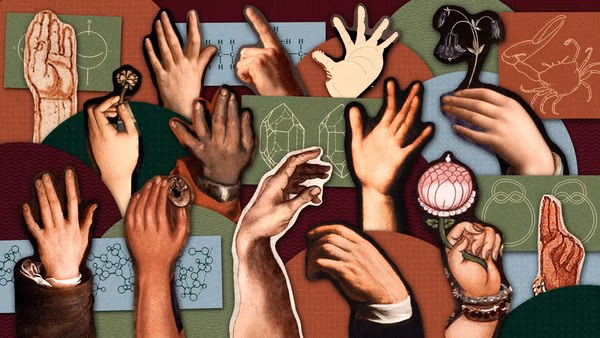 Why am I left-handed? | Quanta Magazine