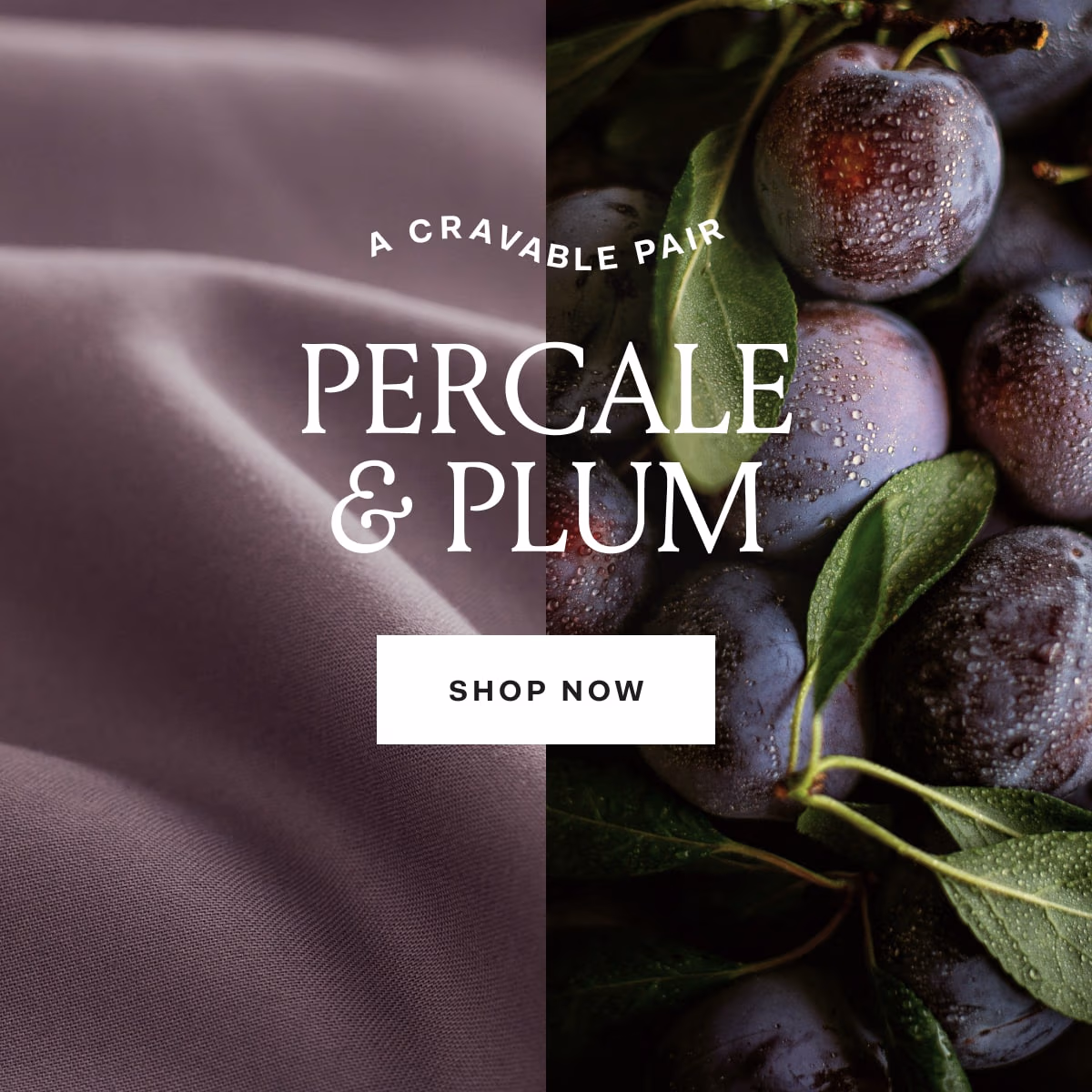 A CRAVABLE PAIR PERCALE & PLUM SHOP NOW 