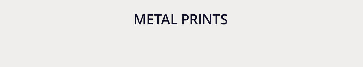 Metal Prints