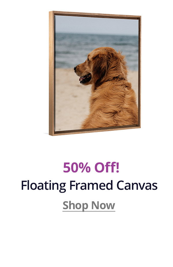 50% off Floating Framed Canvas! Shop Now