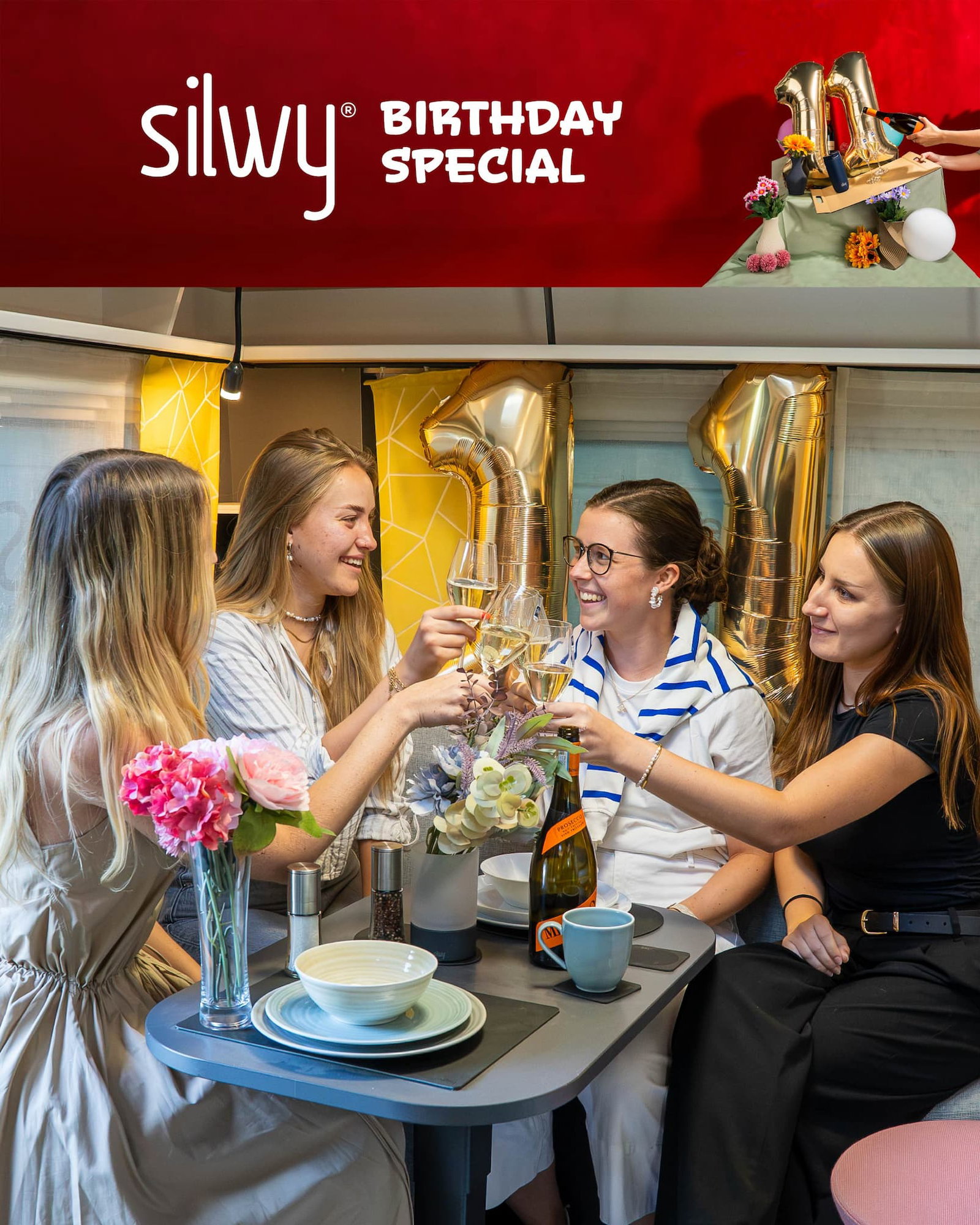 silwy® BDAY SPECIAL