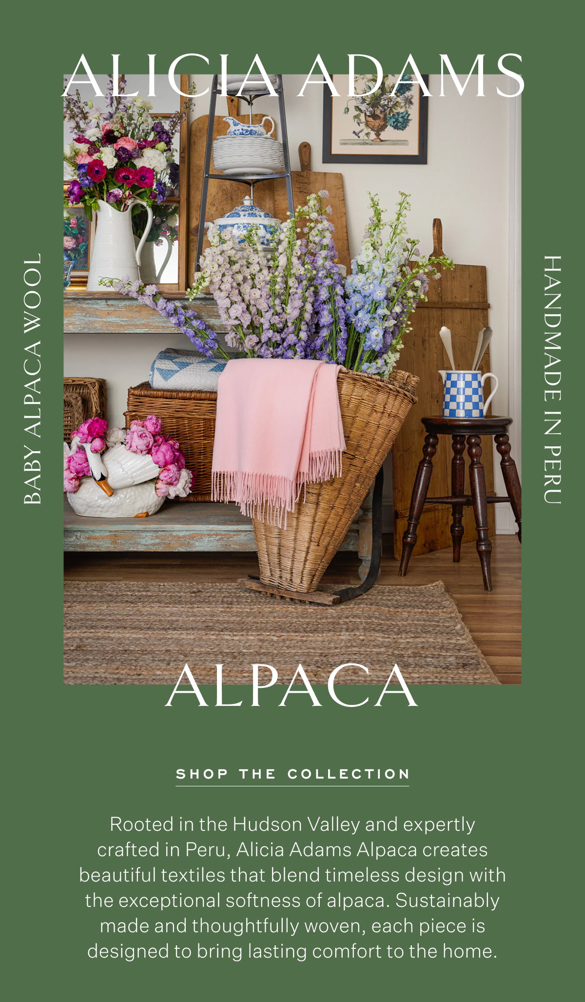 Alicia Adams Alpaca Baby Alpaca Wool Handmade in Peru Shop the Collection Rooted in the Hudson Valley and expertly crafted in Peru, Alicia Adams Alpaca creates beautiful textiles that blend timeless design with the exceptional softness of alpaca. Sustainably made and thoughtfully woven, each piece is designed to bring lasting comfort to the home.