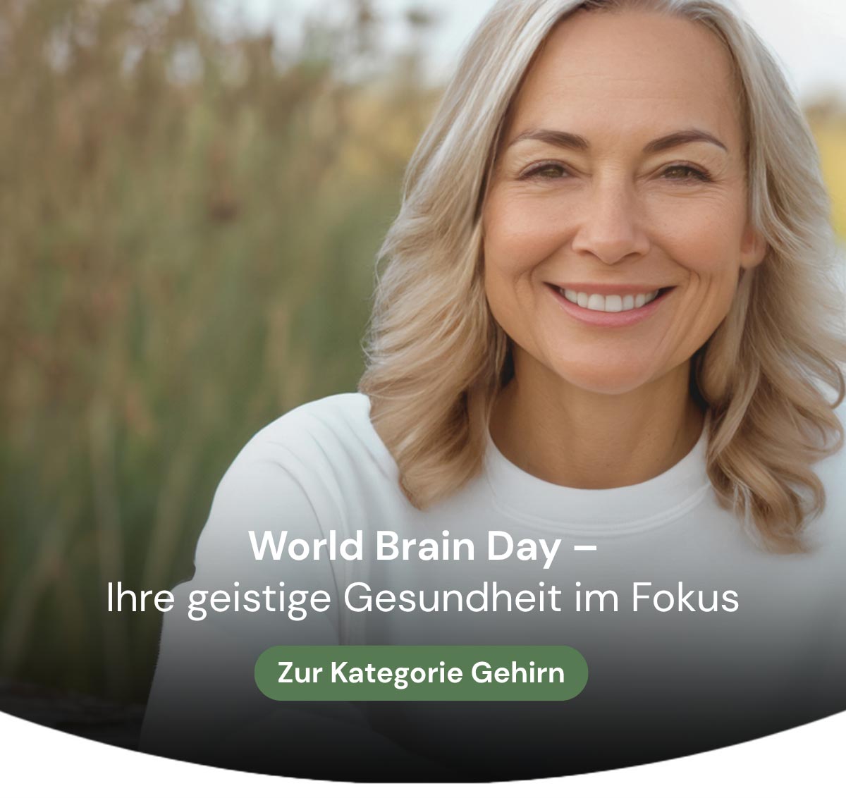 Gehirn