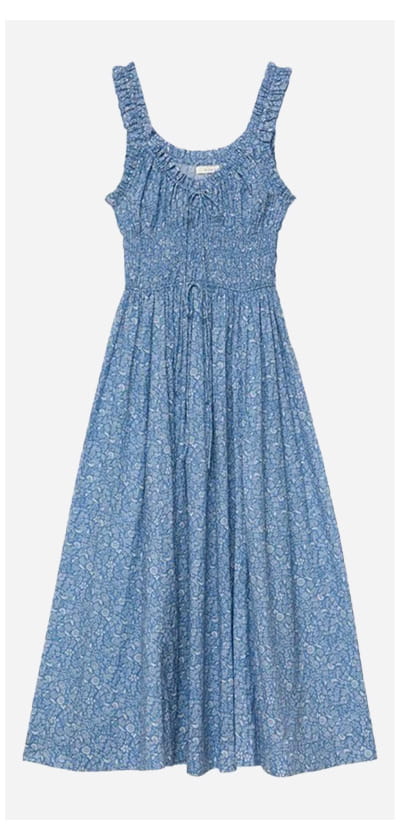 Emmaretta Dress In Blue Garden Bloom