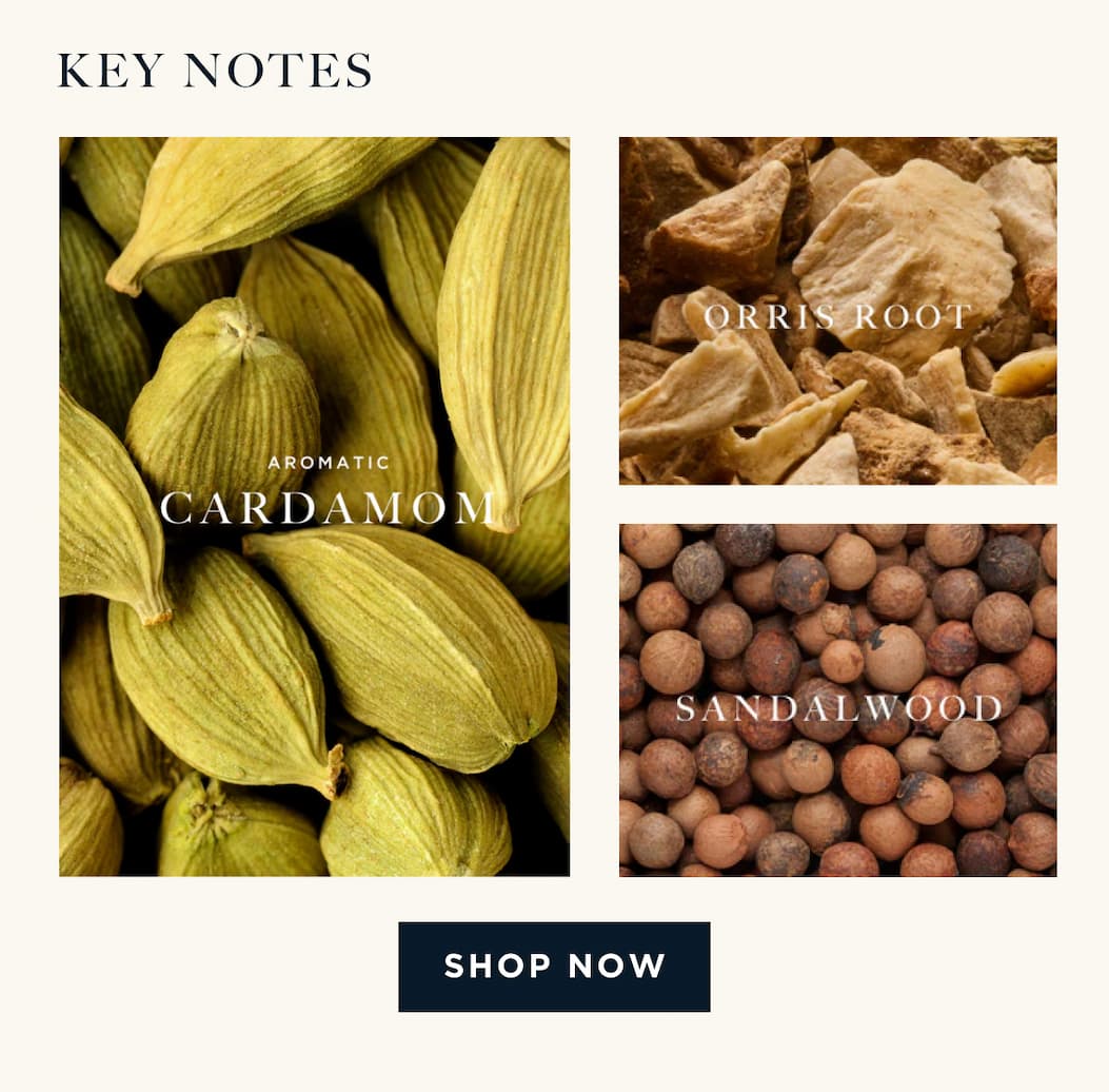 KEY NOTES Cardamom - Orris Root - Sandalwood [ SHOP NOW ]