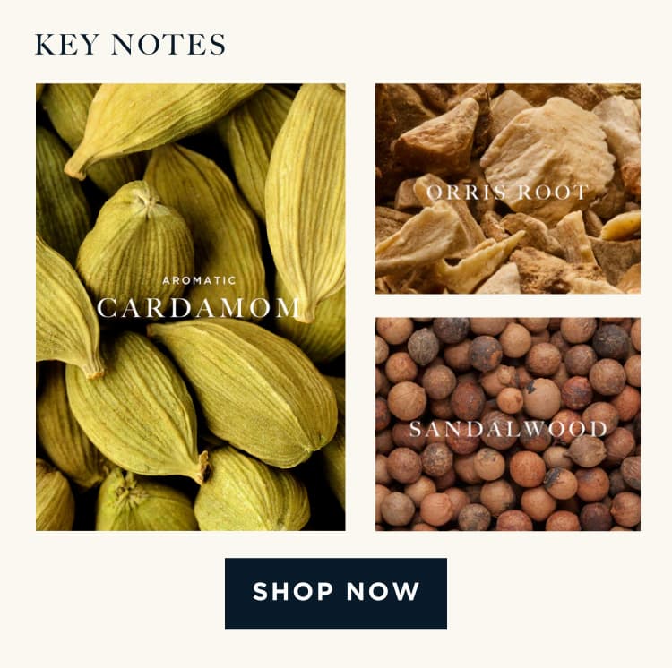 KEY NOTES Cardamom - Orris Root - Sandalwood [ SHOP NOW ]