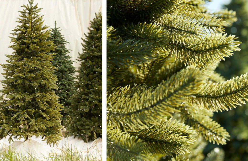 Balsam Hill Most Realistic Trees
