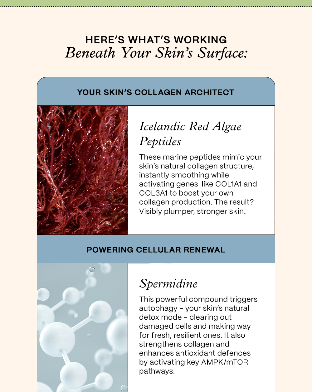 Here's What's Working Beneath Your Skin's Surface: