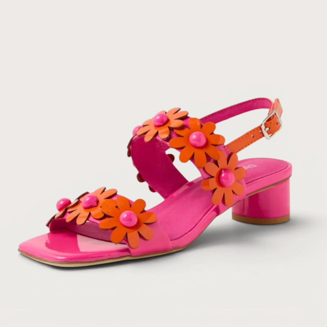 The Vibrant Option