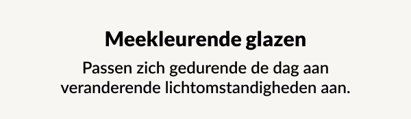 Fotochrome glazen