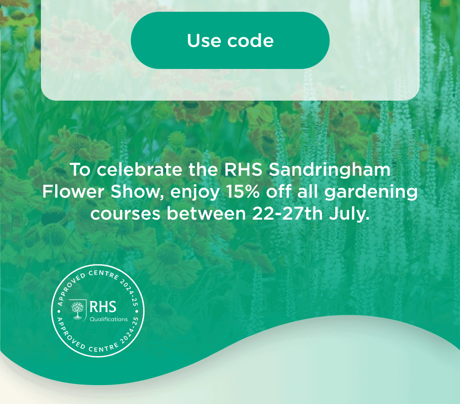 Use Code