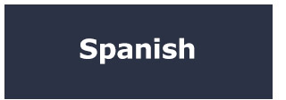 Spanish Bibles