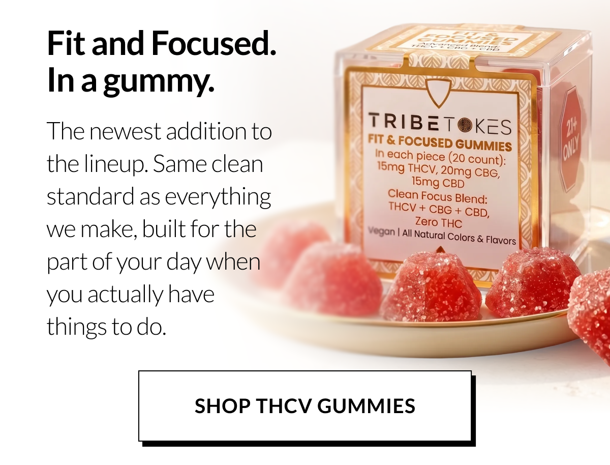 Fit & Focused. In a gummy