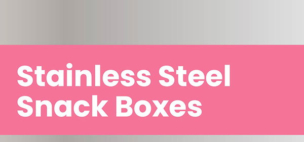 Stainless Steel Snack Boxes