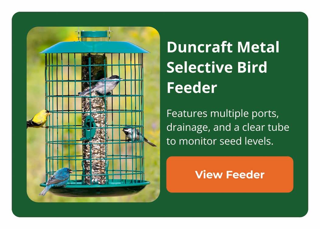 Duncraft Metal Selective Bird Feeder 