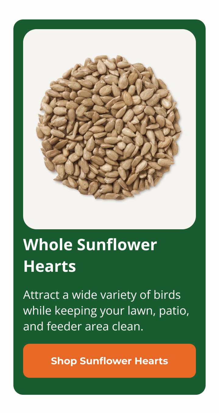 Duncraft Whole Sunflower Hearts Wild Bird Seed, 5-lb bag 