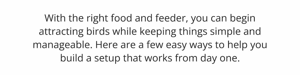 With the right food and feeder