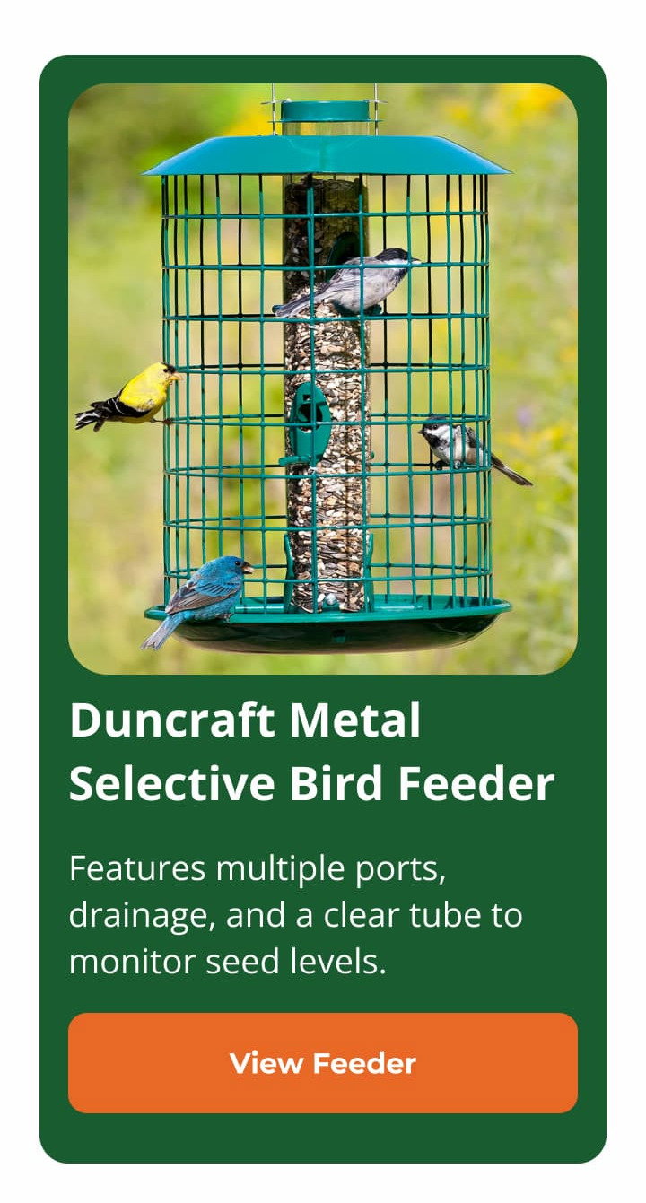 Duncraft Metal Selective Bird Feeder 