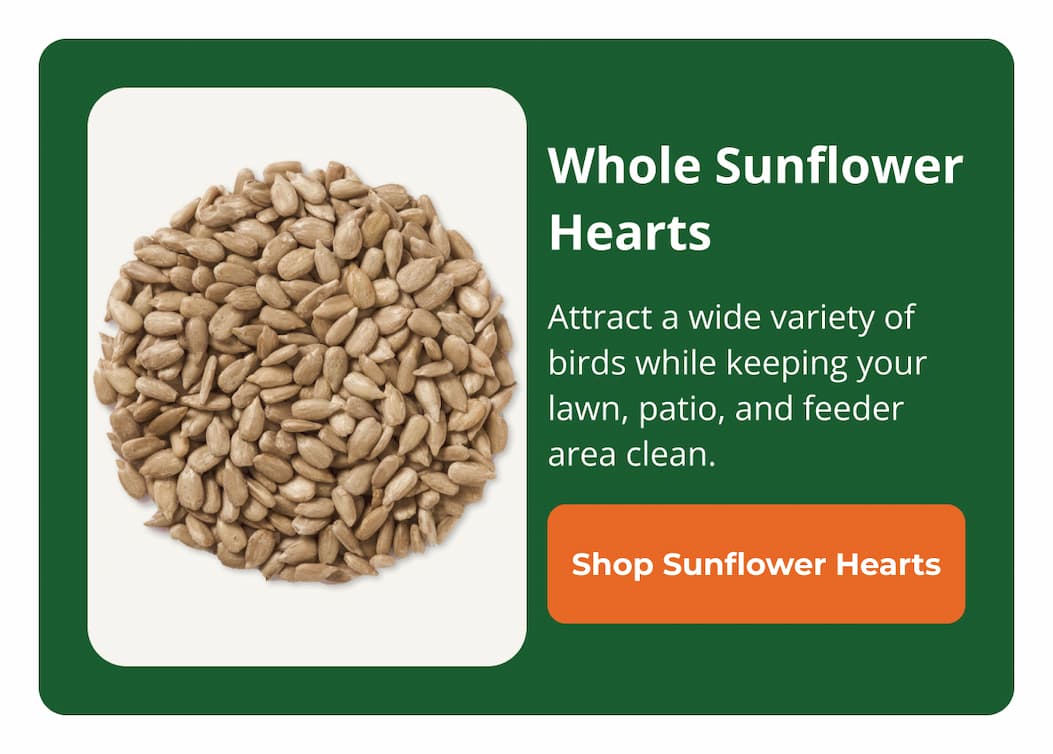  Duncraft Whole Sunflower Hearts Wild Bird Seed, 5-lb bag 