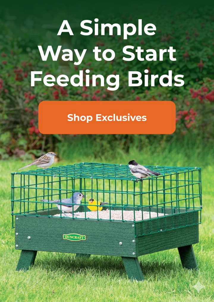 A Simple Way to Start 