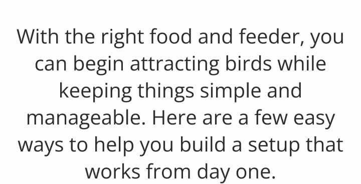 With the right food and feeder
