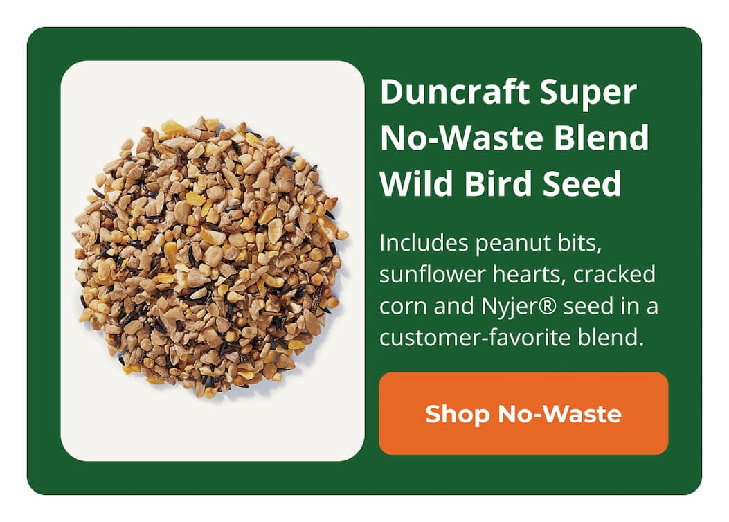 Duncraft Super No-Waste Blend Wild Bird Seed, 5-lb bag 