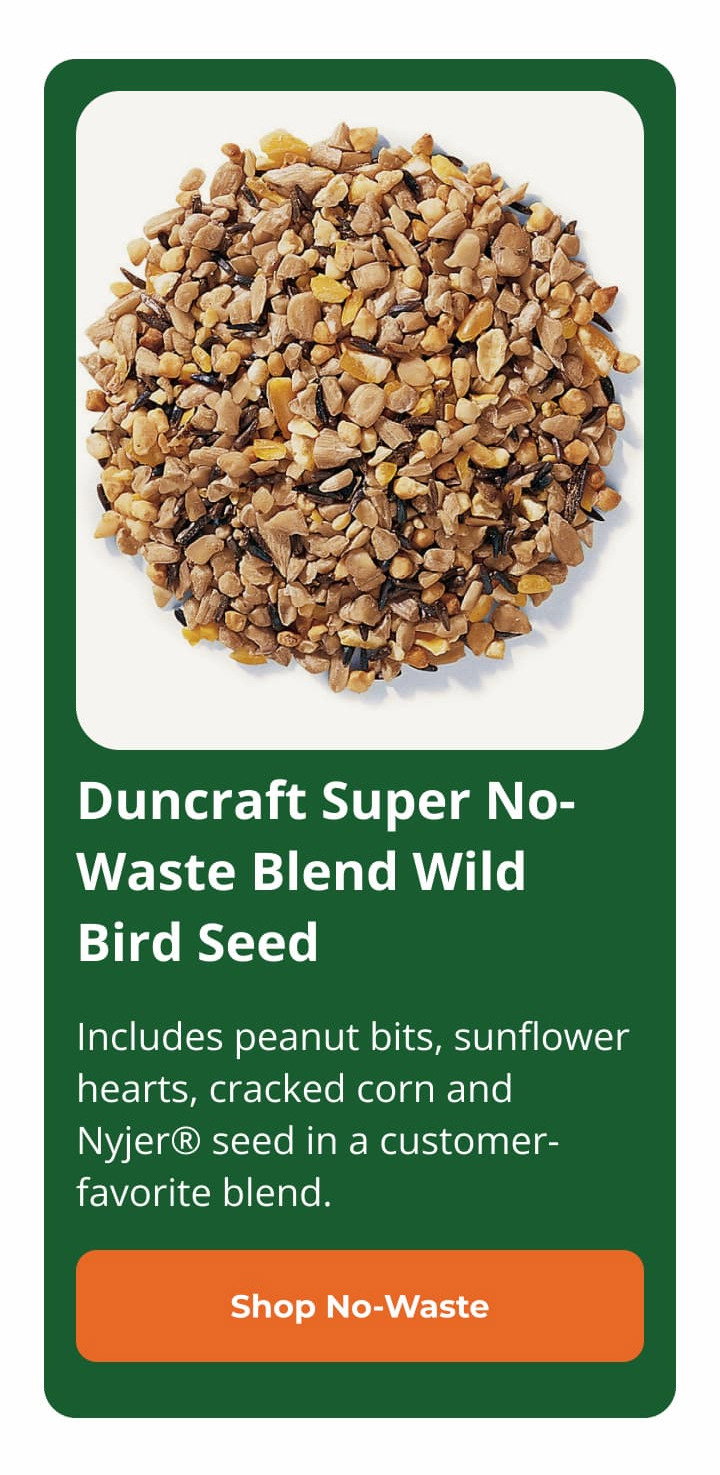 Duncraft Super No-Waste Blend Wild Bird Seed, 5-lb bag 