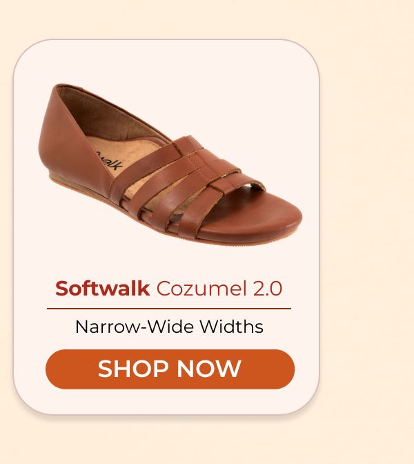 Softwalk Cozumel 2.0