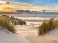 Aan zee