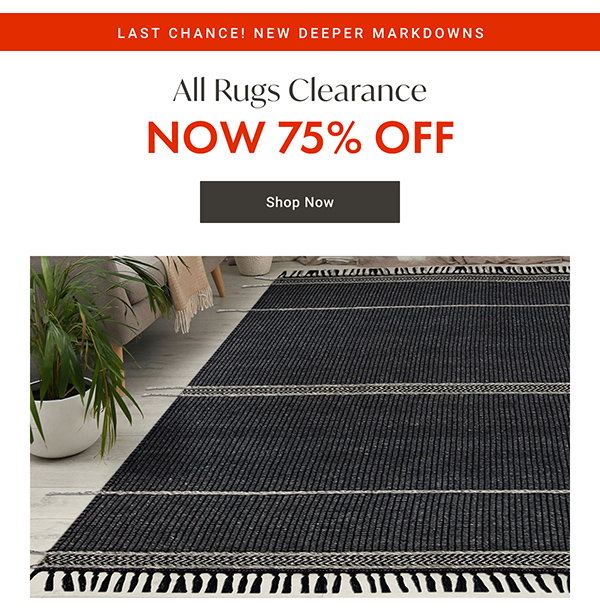 LAST CHANCE! NEW DEEPER MARKDOWNS - All Rugs Clearance NOW 75% OFF - Shop Now