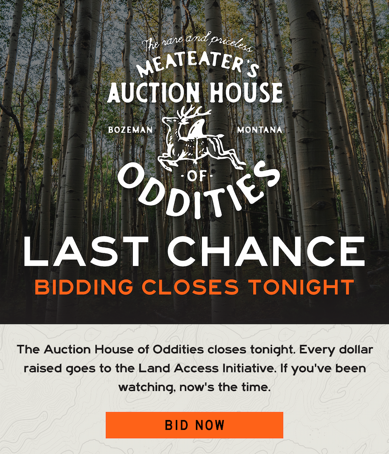 Auction House of Oddities is Live: Bid now!