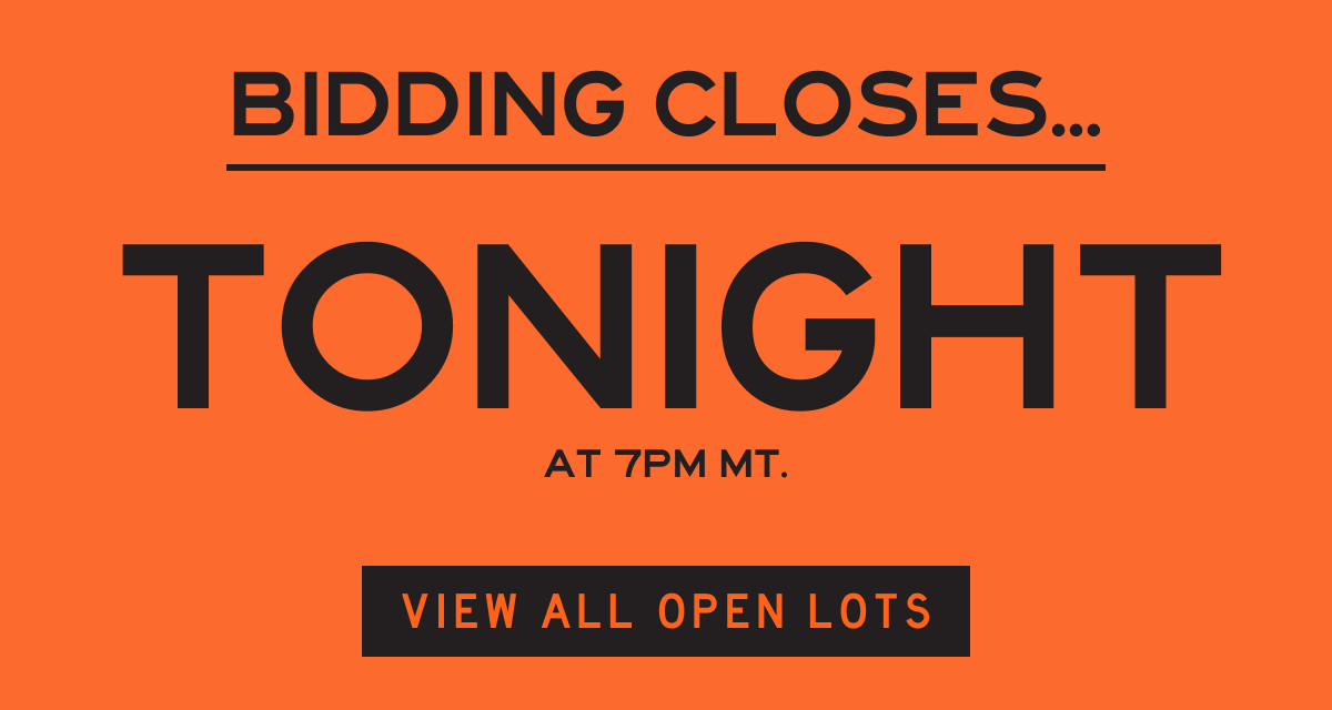 Bidding closes tonight! 