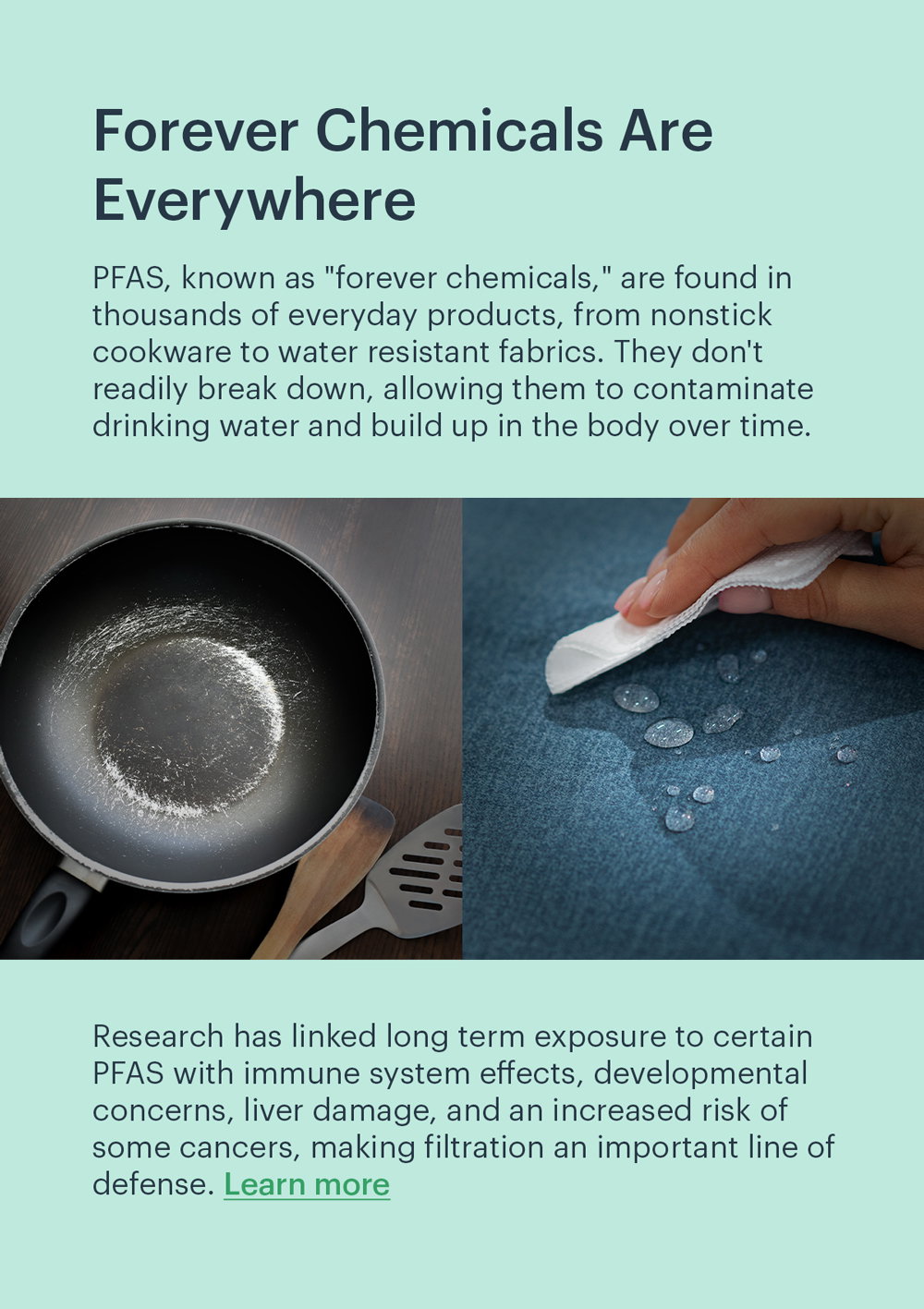 Forever Chemicals Are Everywhere