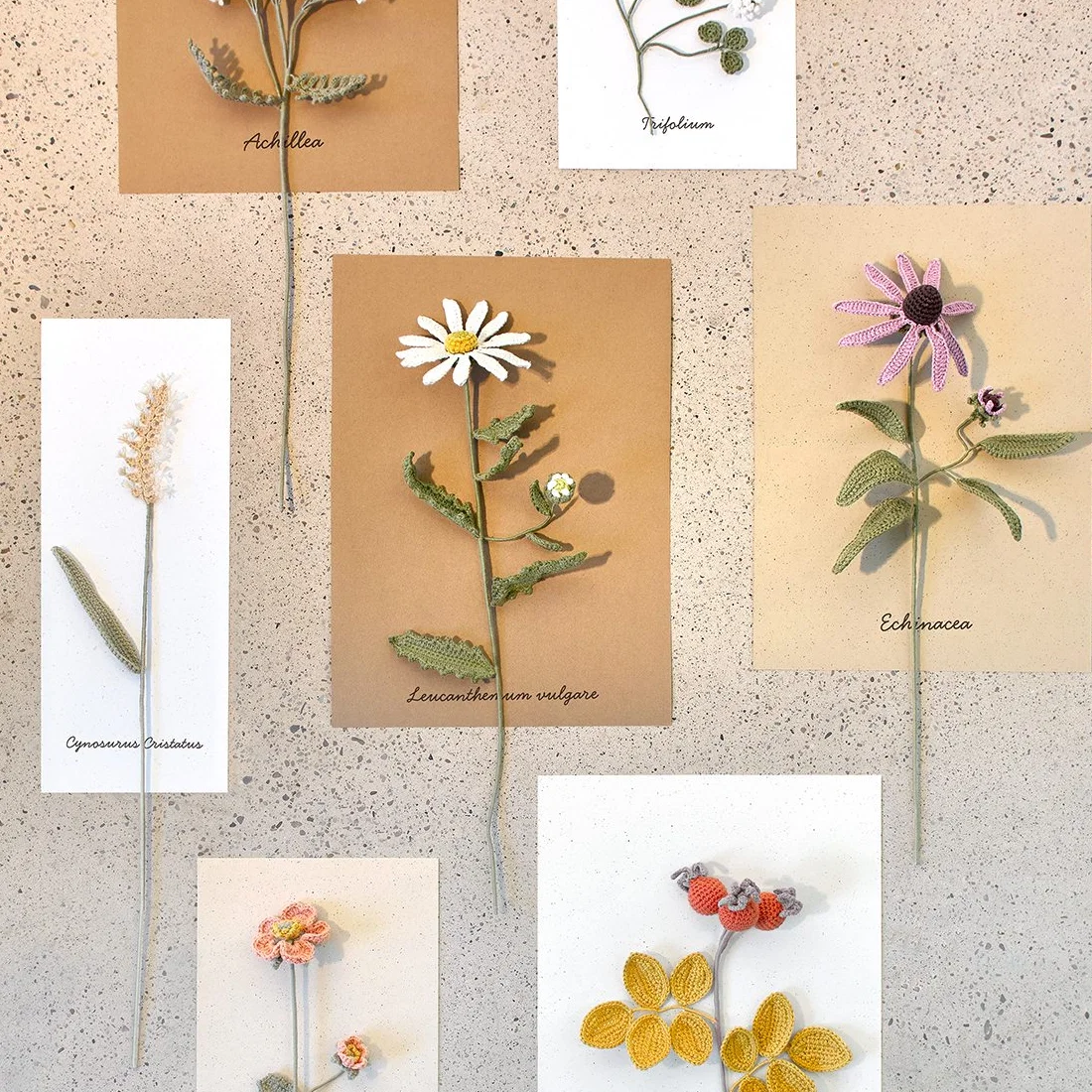 Verschiedene gehäkelte Blumen auf Karten mit Beschriftung