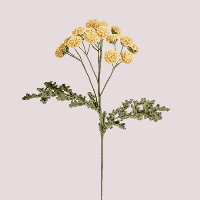 Häkelblume Rainfarn