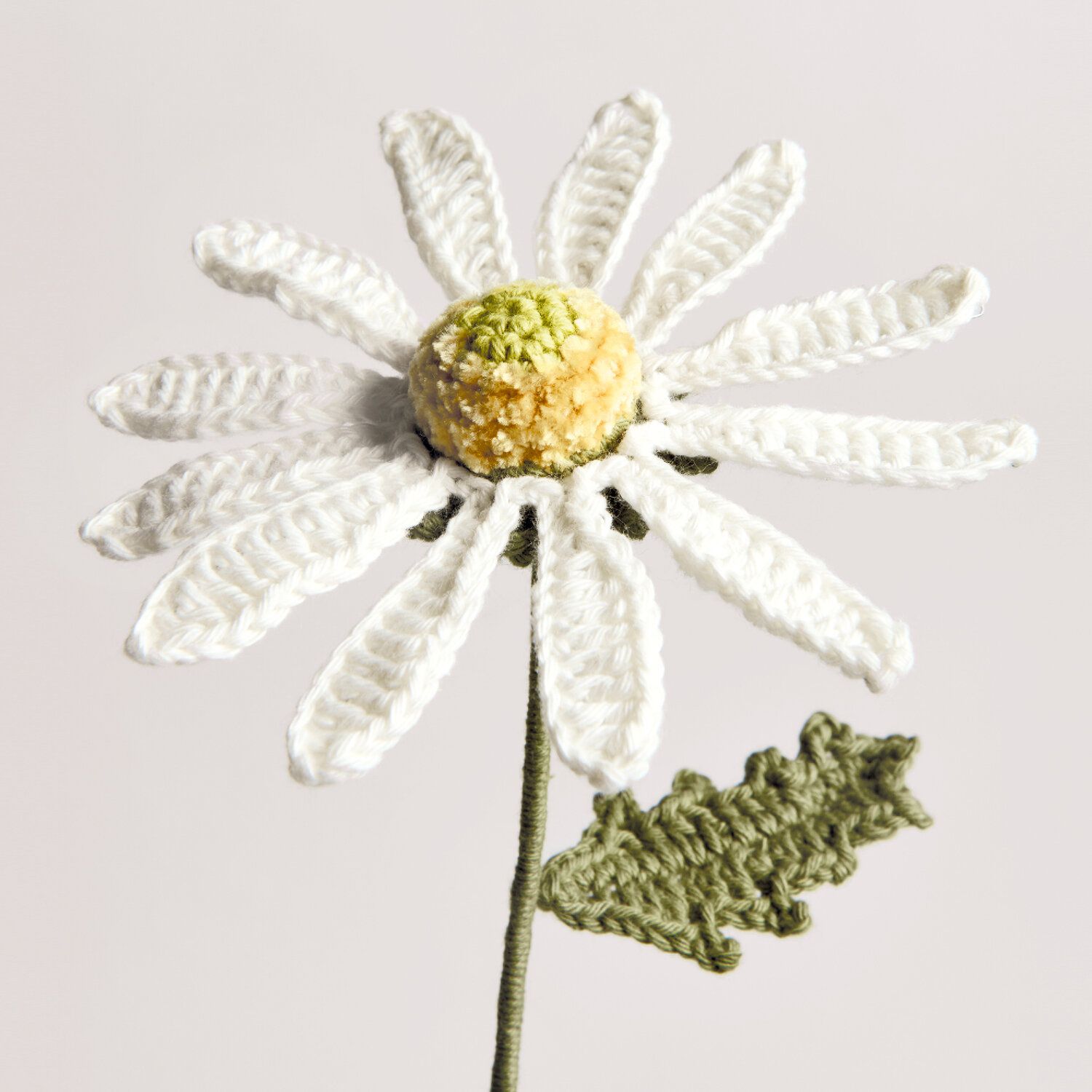 Häkelblume Wiesenmargerite