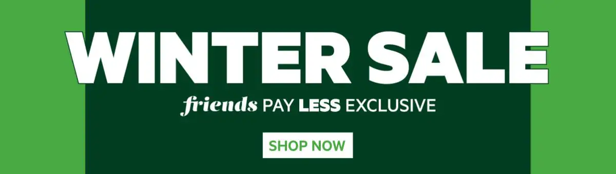 Winter Sale banner