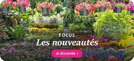 Focus sur les nouveautés