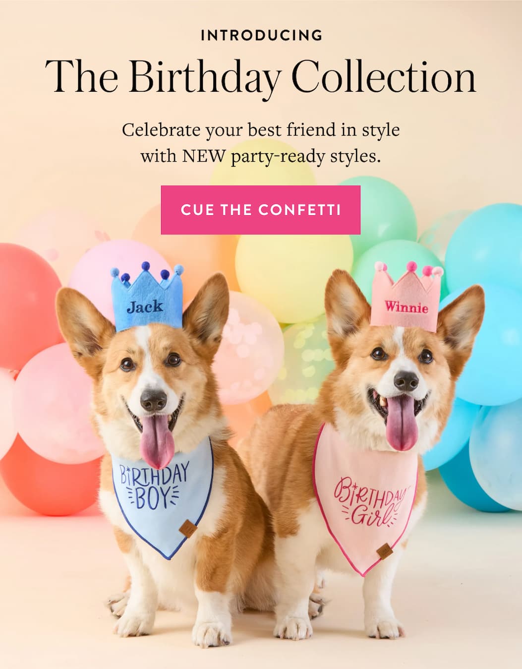 Shop the Birthday Collection