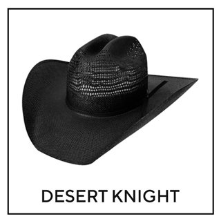 Desert Knight 