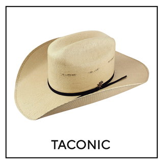 Taconic 