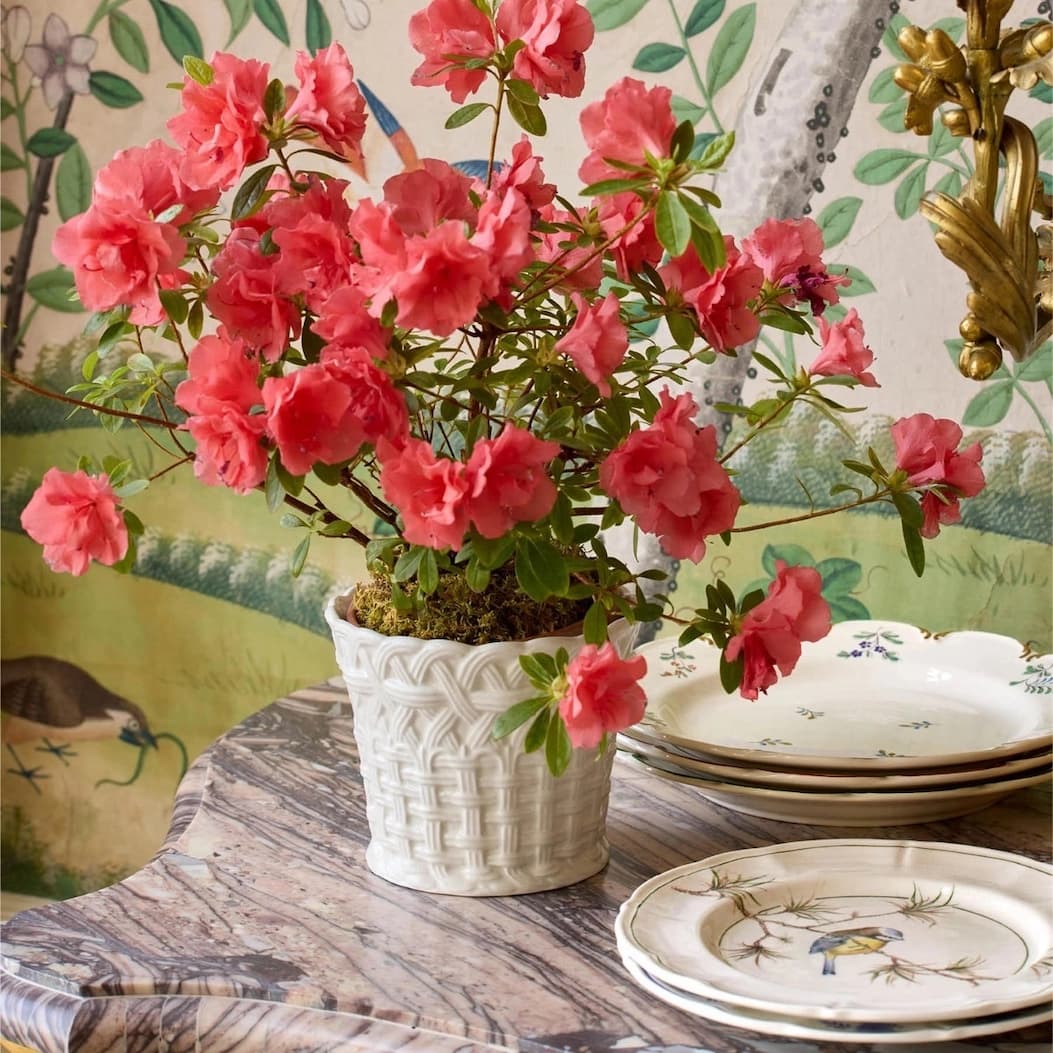 VASES