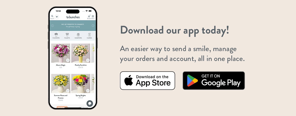Download the Bunches App