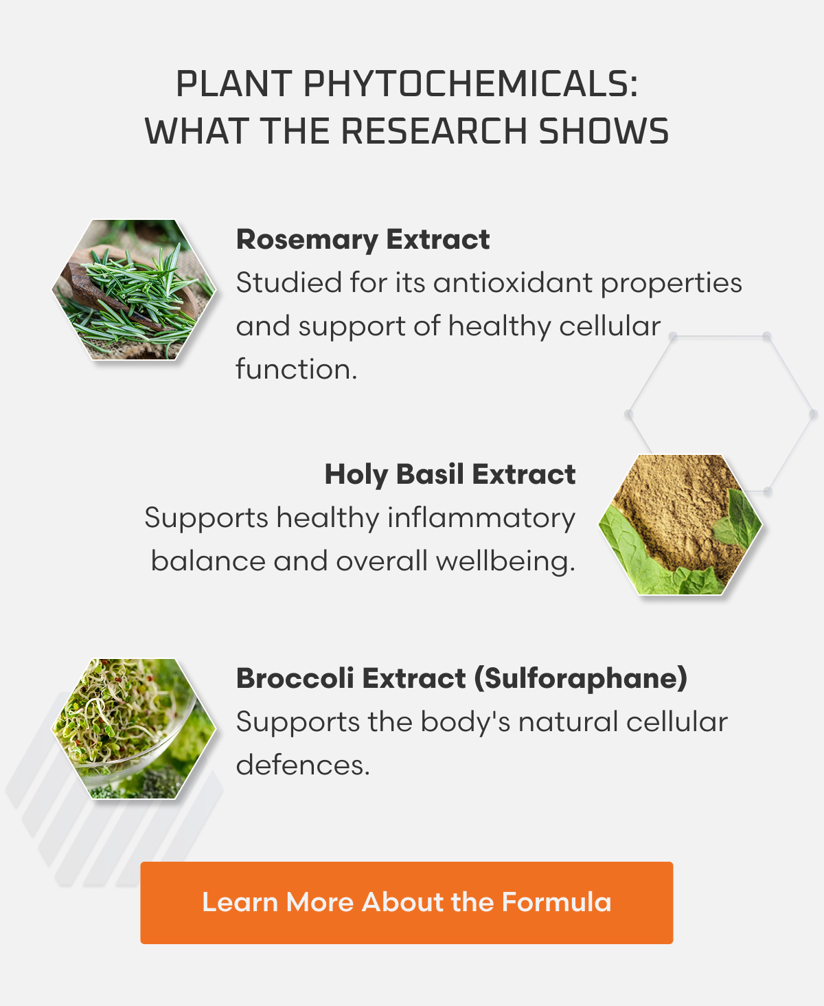 Plant Phytochemicals: What the Research Shows Rosemary Extract ✓  Studied for its antioxidant and cellular support properties Holy Basil Extract ✓ Supports healthy inflammatory balance and whole-body wellbeing Broccoli Extract (Sulforaphane) ✓ Supports your  body's natural cellular defenses